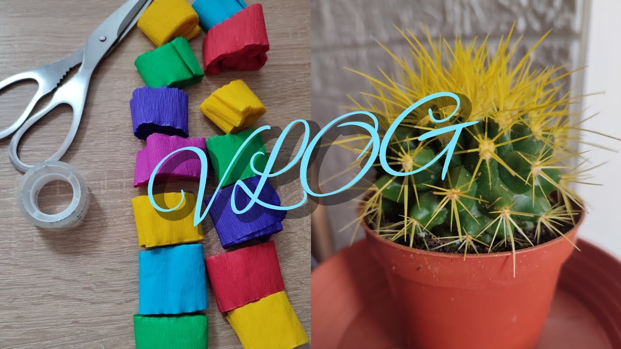 VLOG #3/2026 