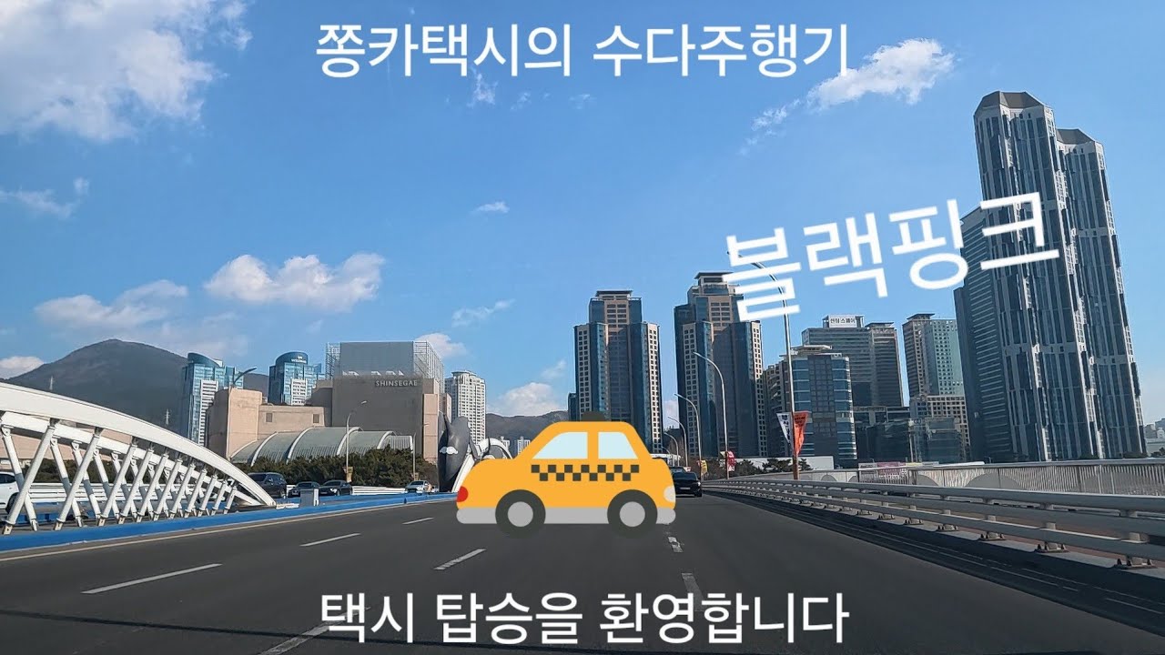 한국말로 훅 들어오는 대만손