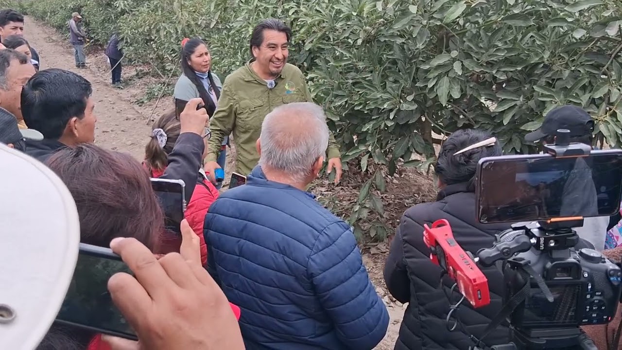 Visita de campo parte 1 (Taller de cultivo de palto - Cañete Perú)
