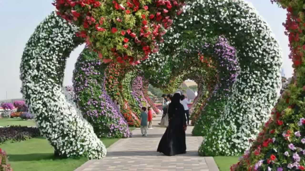 Чудо-сад в Дубае.