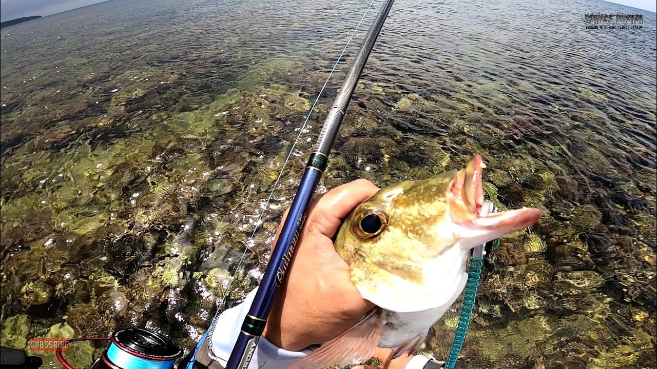 ML Ep 15 Emperor fish in Medium Light set up | Shore casting Philippines