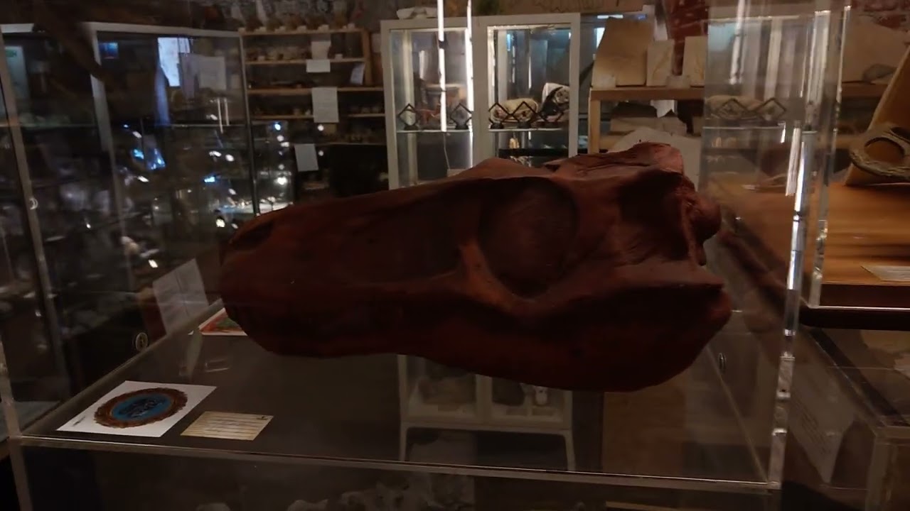 Eine kleine Tour durch die Festung Grauerort und durch unser Museum Pangaea in Stade Abbenfleth