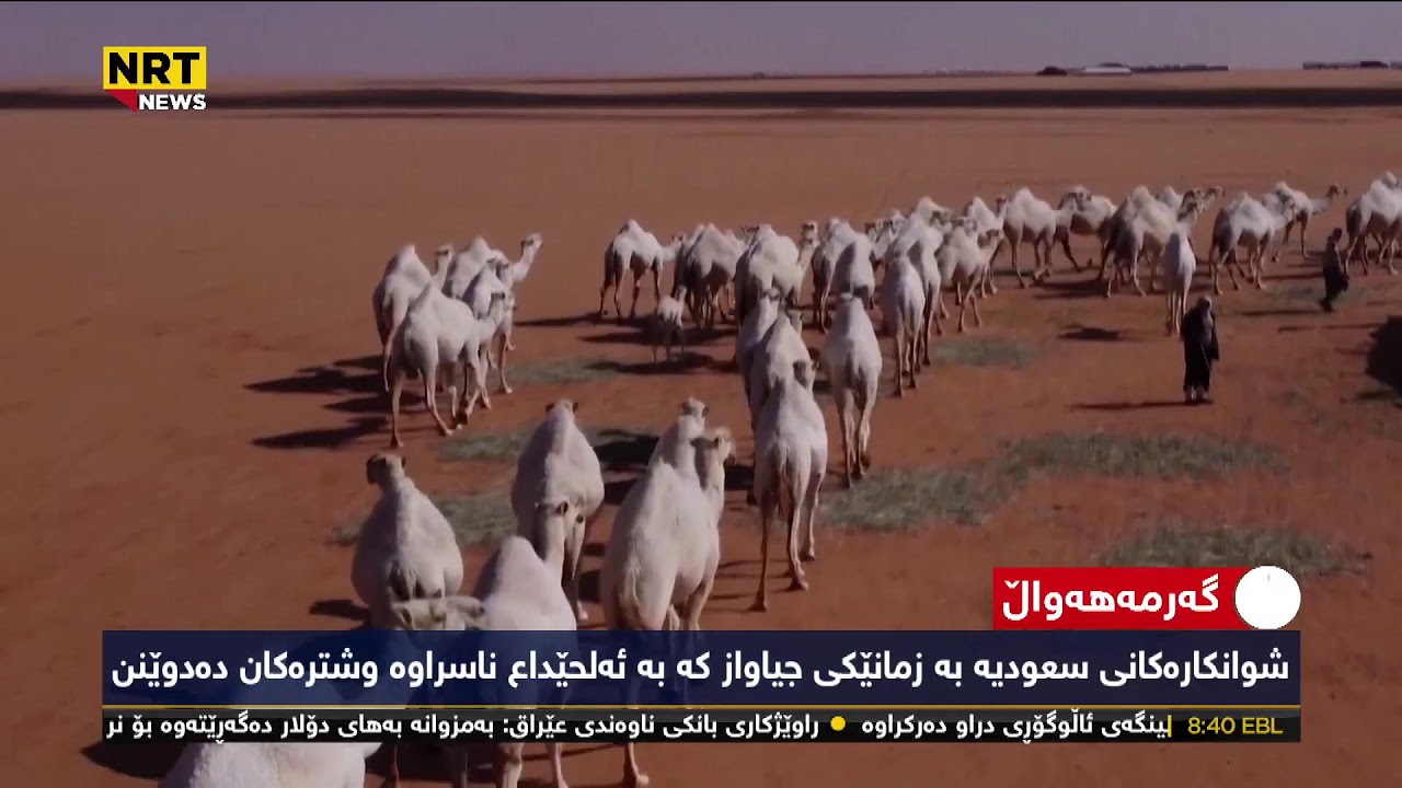 NRT News Live Tawtwe and Garma hawal 22-1-2023
