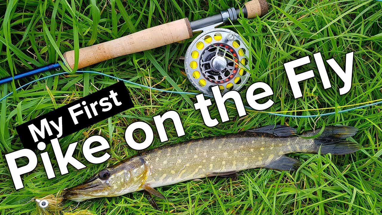 Pike Fly Fishing - Me Fly Fishing for the First Time (2020)