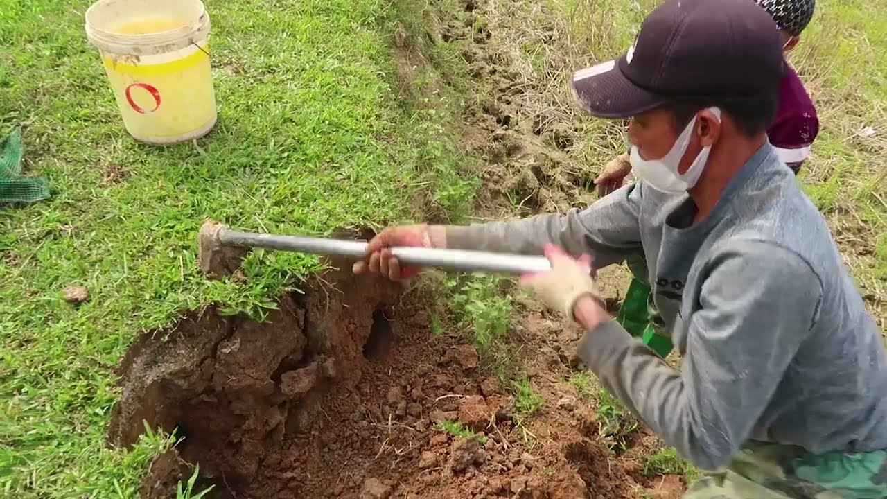 Hành Trình Tìm Chuột Đồng Khó Khăn #5