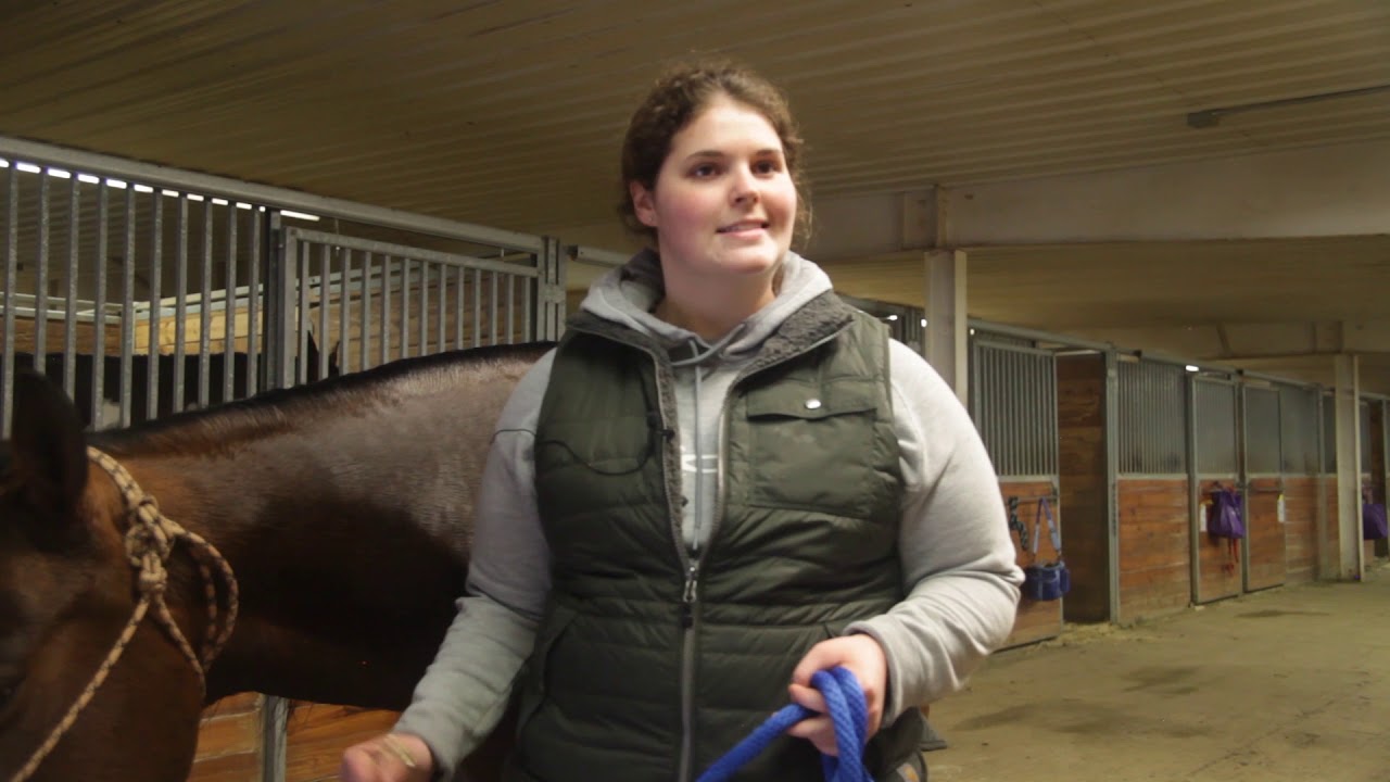 Western Equestrian Studies | Year 1