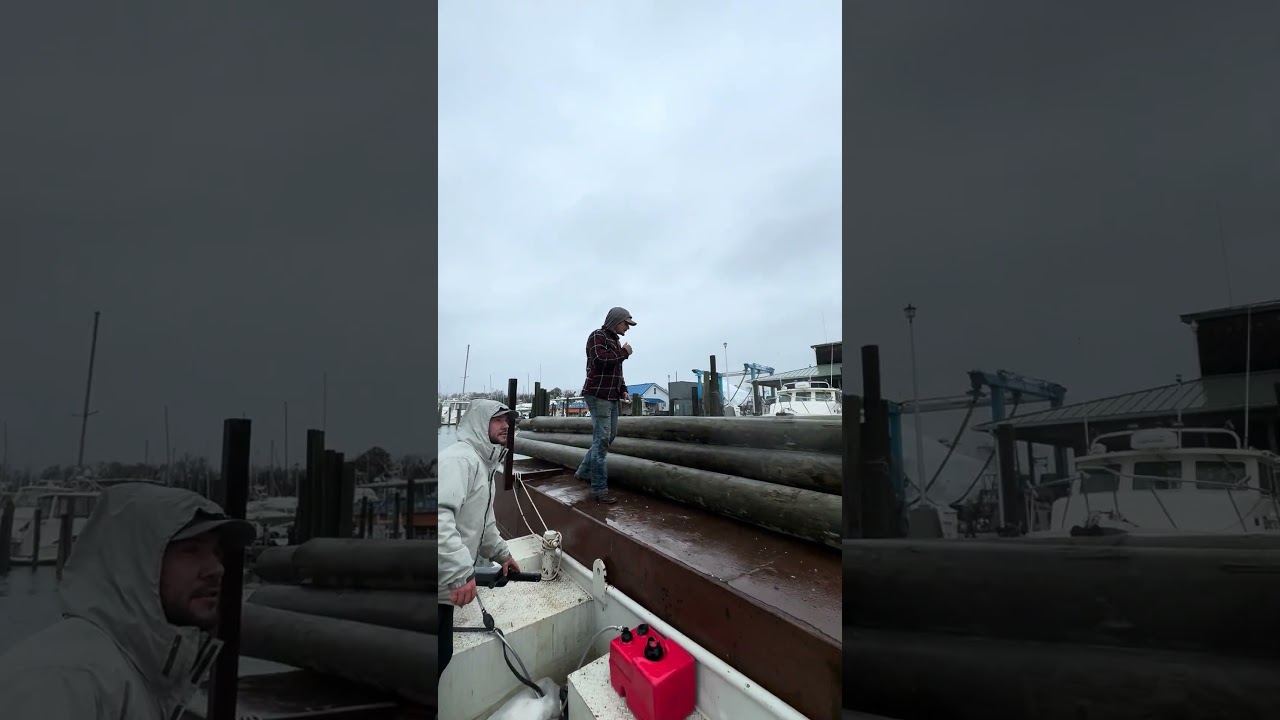 Day in a life of a Marina Constructor