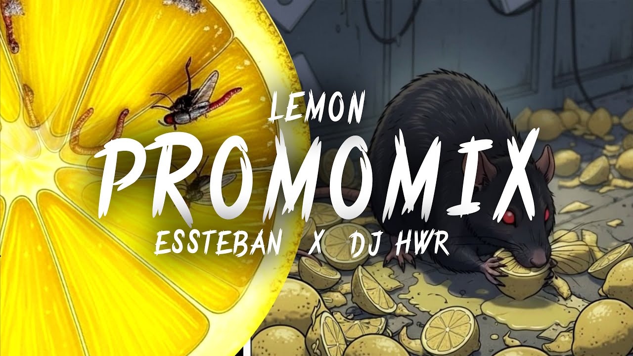 ESSTEBAN & DJ HWR - LEMON (PROMOMIX)