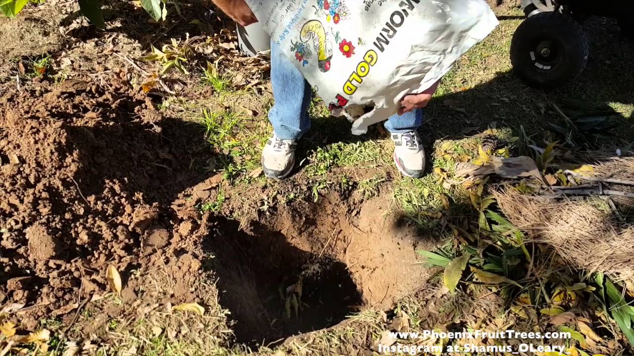 Quick, inexpensive way to build a healthy, living soil with Shamus O'Leary