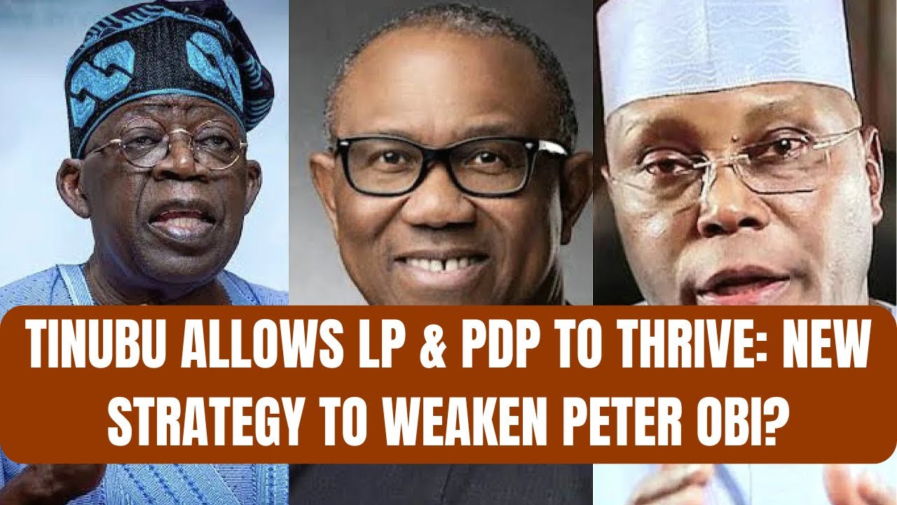 BREAKING: Nenadi Usman Speaks on Peter Obi Returning to LP After Court Judgement Today