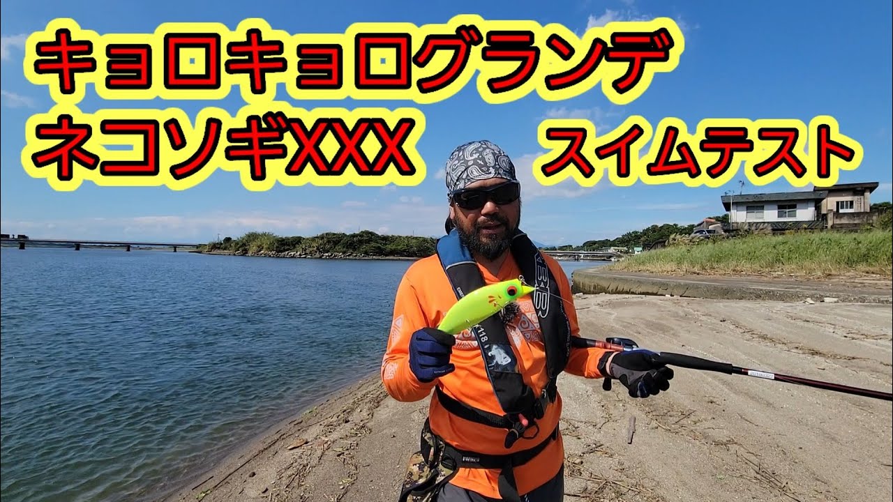 キョロキョログランデとネコソギXXX スイムテストした