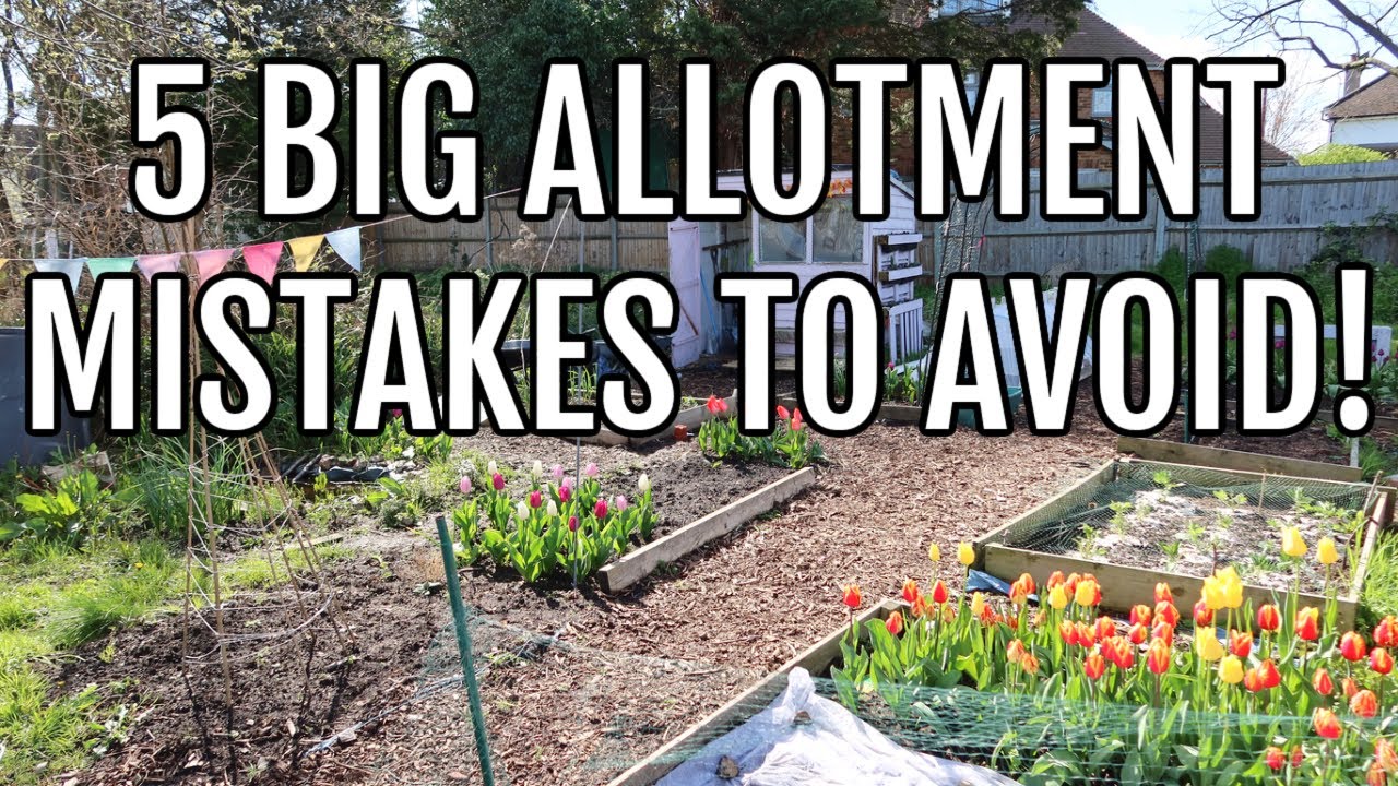 5 ошибок, которых следует избегать на первом дачном участке / садоводство для начинающих