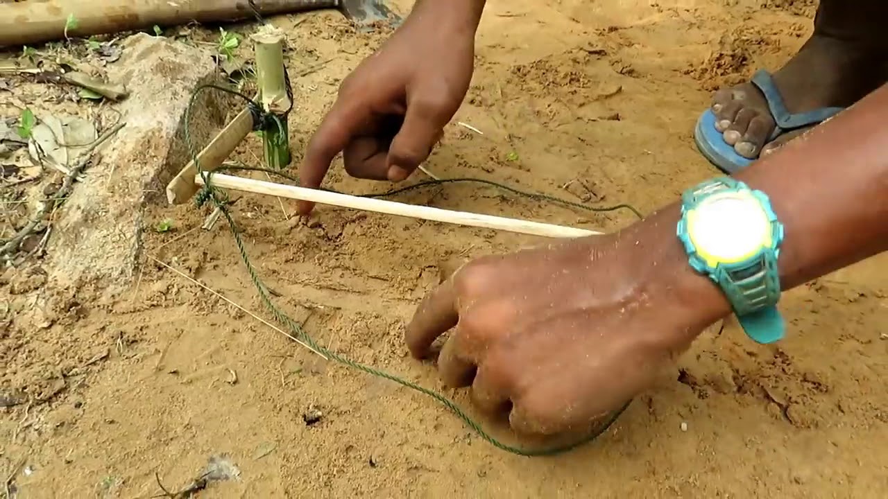 The First Creative Monkey Trap Using Leg Snare Trap - How To Make Monkey Trap That Work 100%