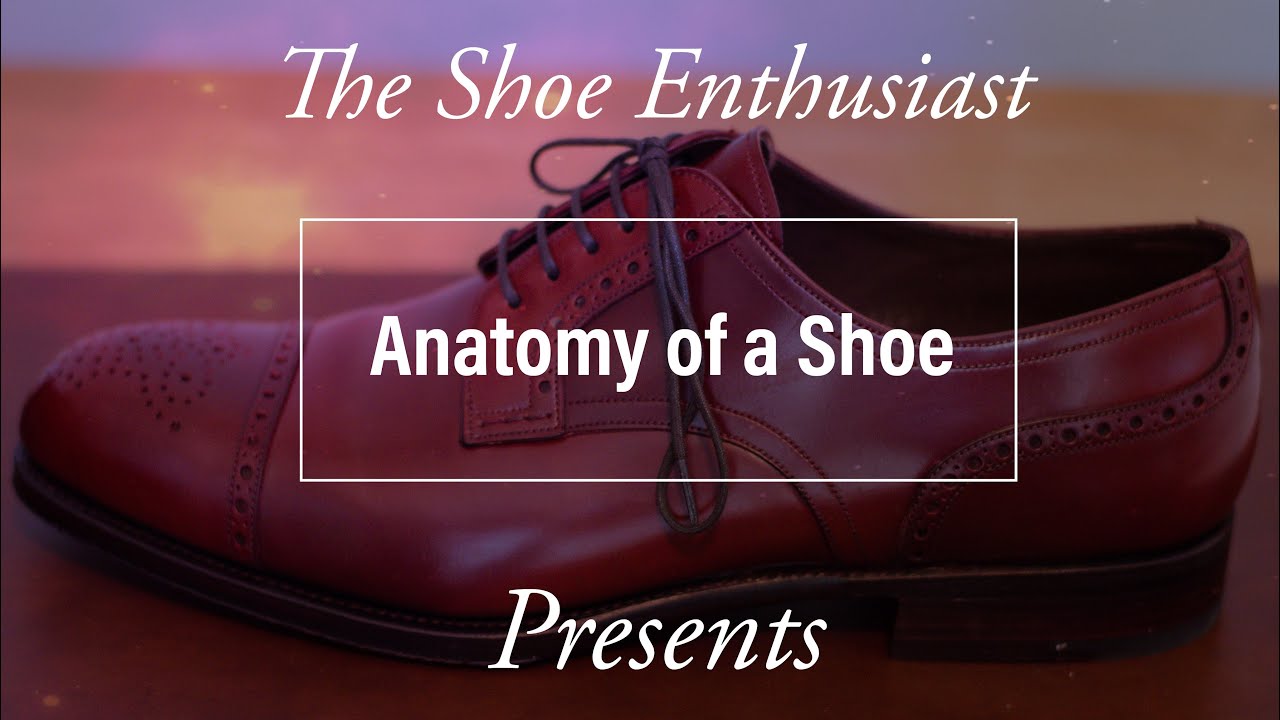 Anatomy of a Shoe