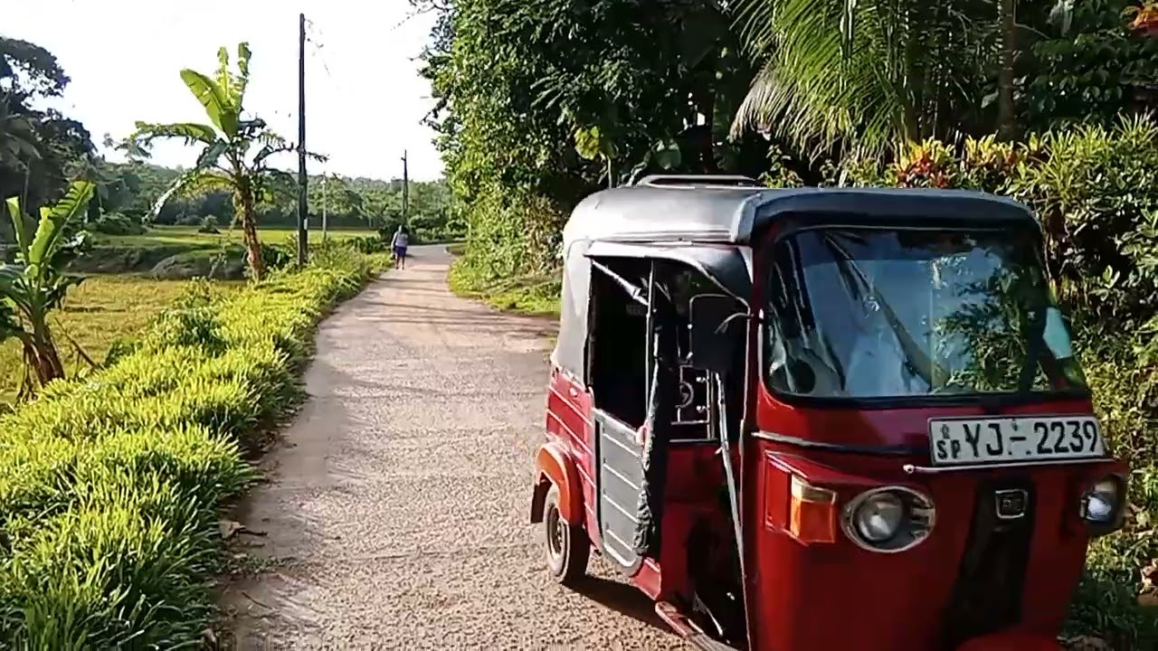 වීඩියෝ  අංක  282   කැකිල්ලමණ්ඩියේ දෙල්ගහ හන්දියෙන් දකුණට හැරී යන පාර      video 20241108 164150