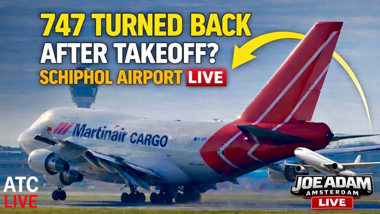 🔴 LIVE at Amsterdam Schiphol Airport | Feb 4, 2026