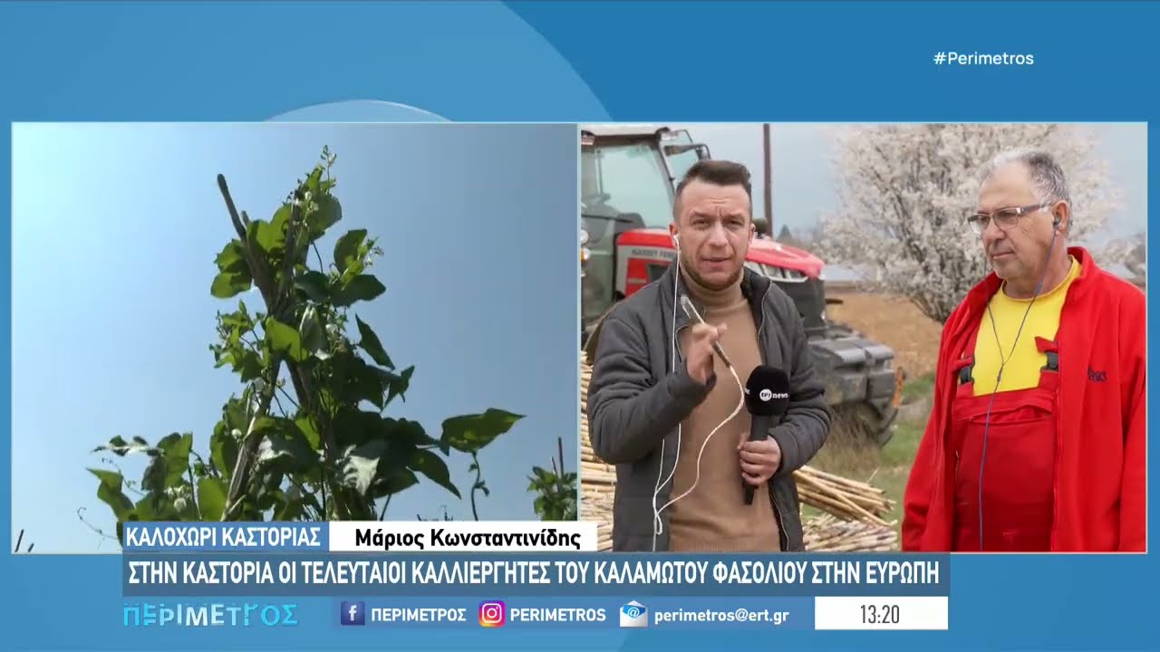 Στην Καστοριά οι τελευταίοι παραγωγοί καλαμωτού φασολιού στην Ευρώπη