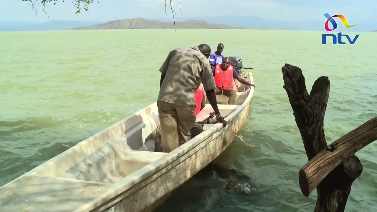 Pandemic Burden: Tour guides turn to fishing to make ends meet