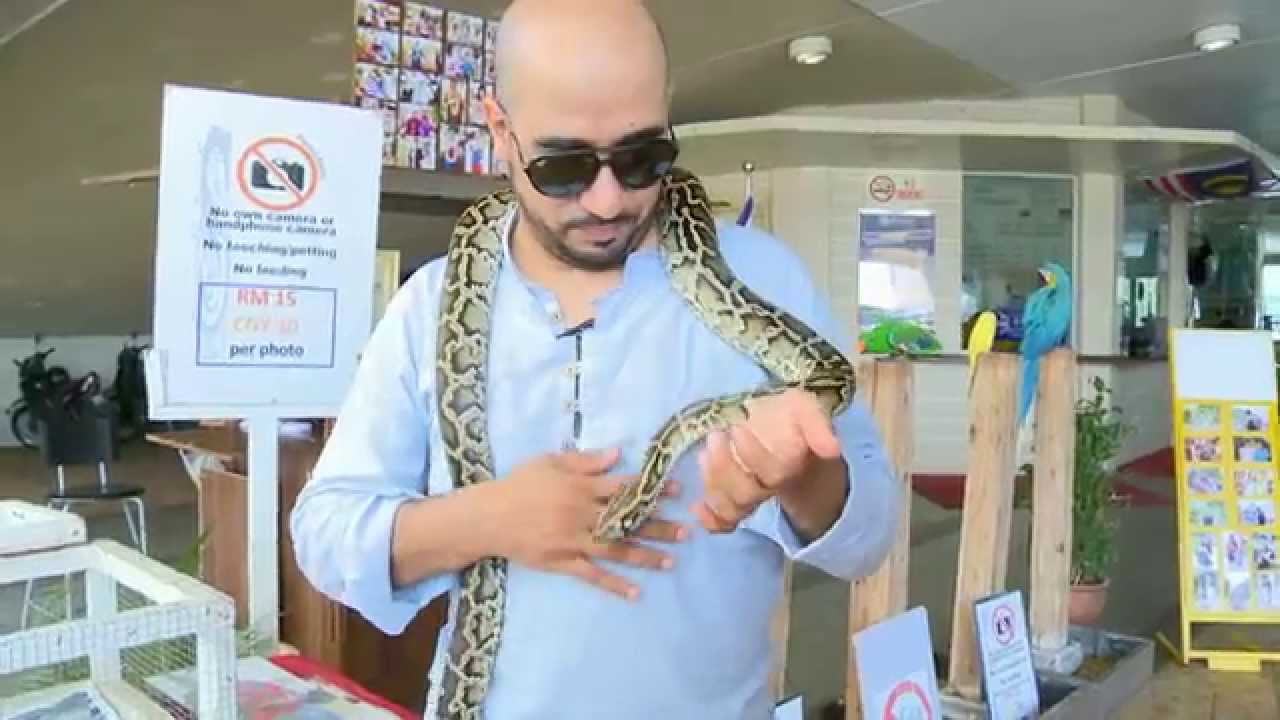 برنامج: قو شباب Go Shabab - الحلقة 4