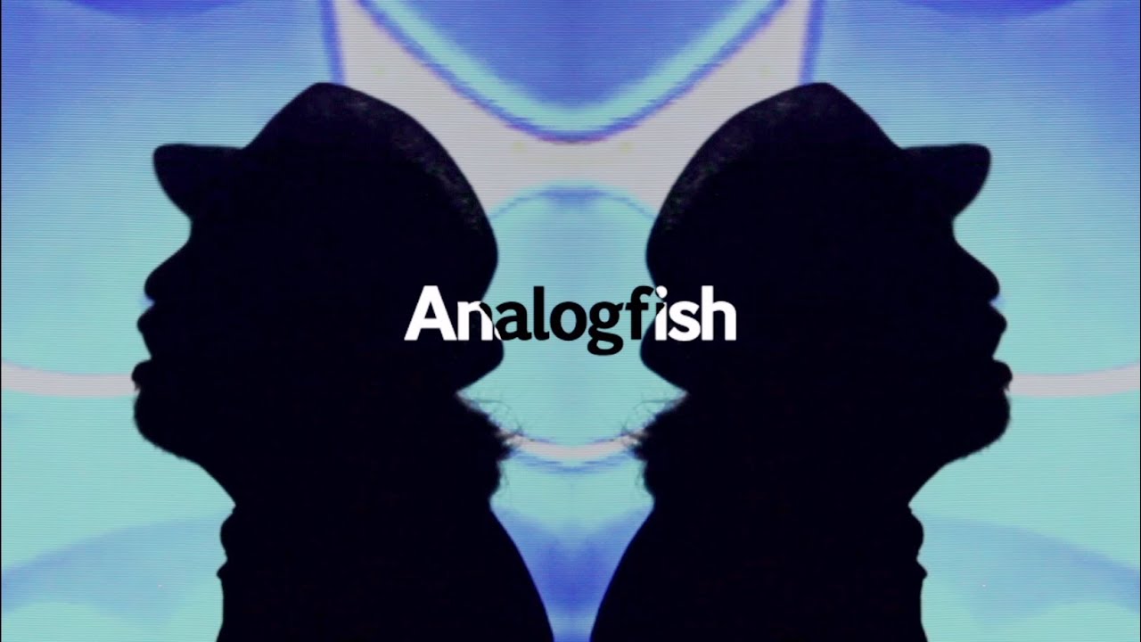 Analogfish 