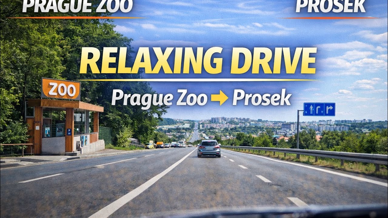 🚗 Prague Zoo → Prosek | Calm Drive | 4K | No Commentary