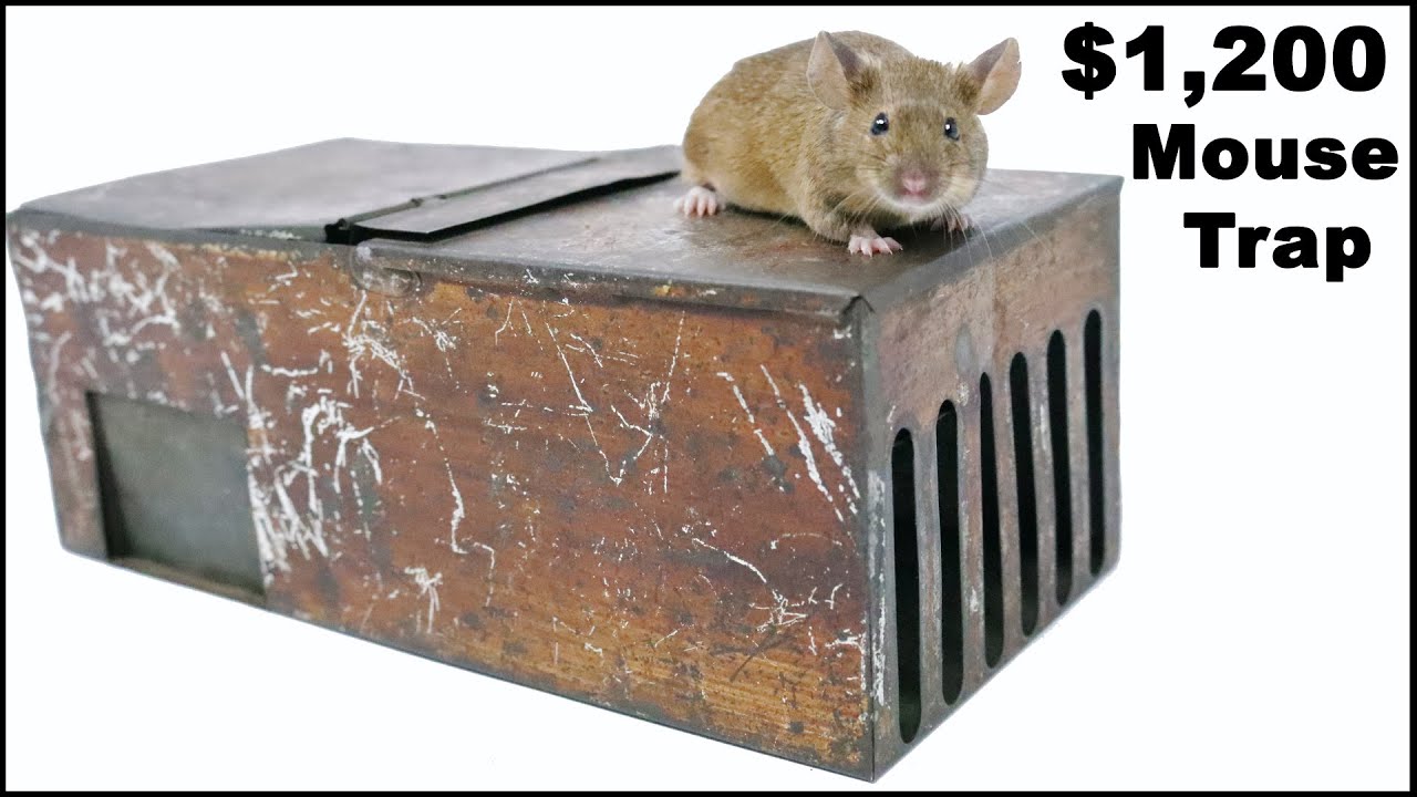 $1,200 For A Rare Antique Mouse Trap from 1877.  The Novelty - Mousetrap Monday