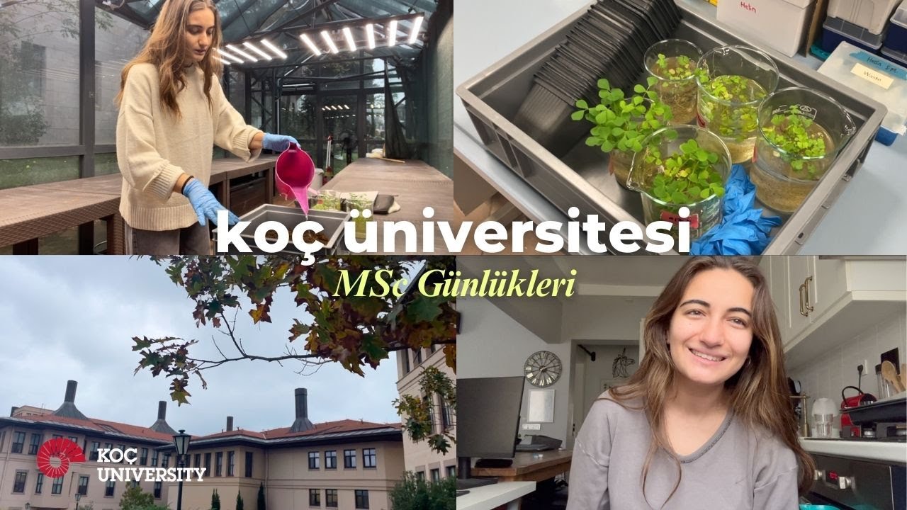 Koç Üniversitesi’nde Moleküler Biyoloji ve Genetik Yüksek Lisans | Bitkilerle Bir Günüm 🌱🧬