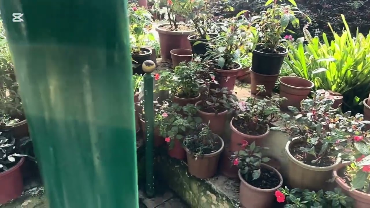 Botanical garden ooty