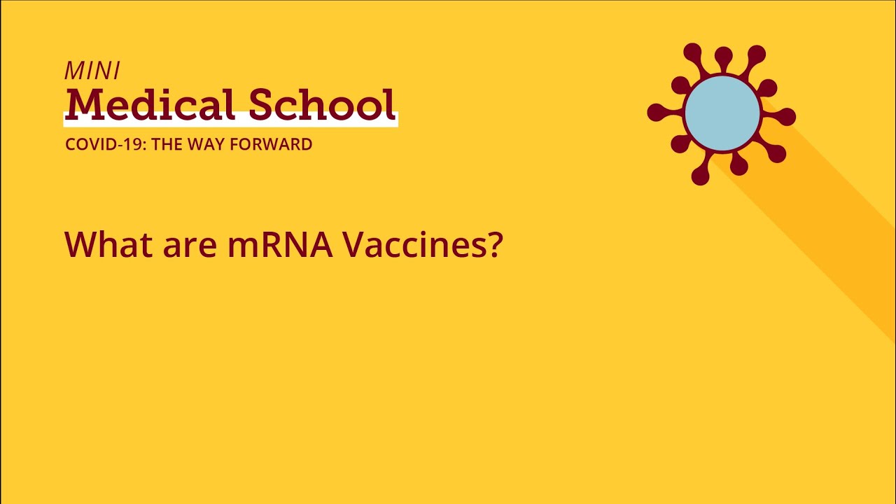 What are mRNA Vaccines?