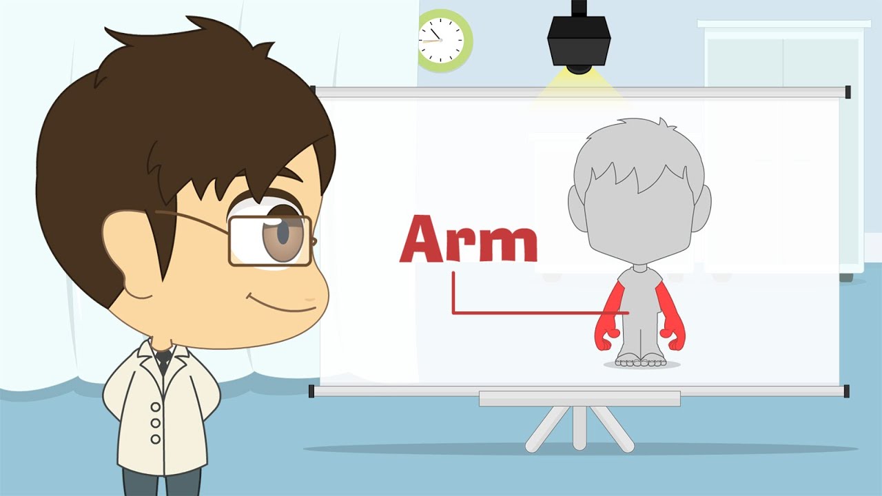 Human Body Parts in English for Kids - أجزاء جسم الإنسان باللغة الإنجليزية للأطفال