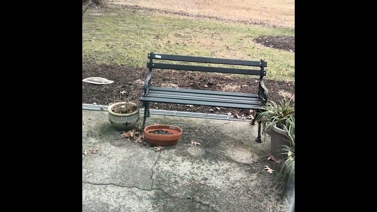 Estate Sale, Saturday Morning. 