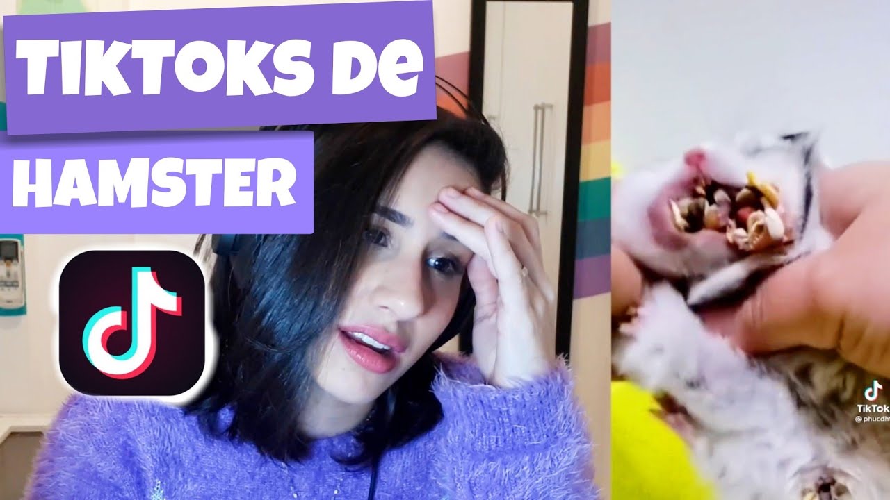 Reagindo a TikToks de hamster | VÍDEOS VIRAIS DE HAMSTERS #2
