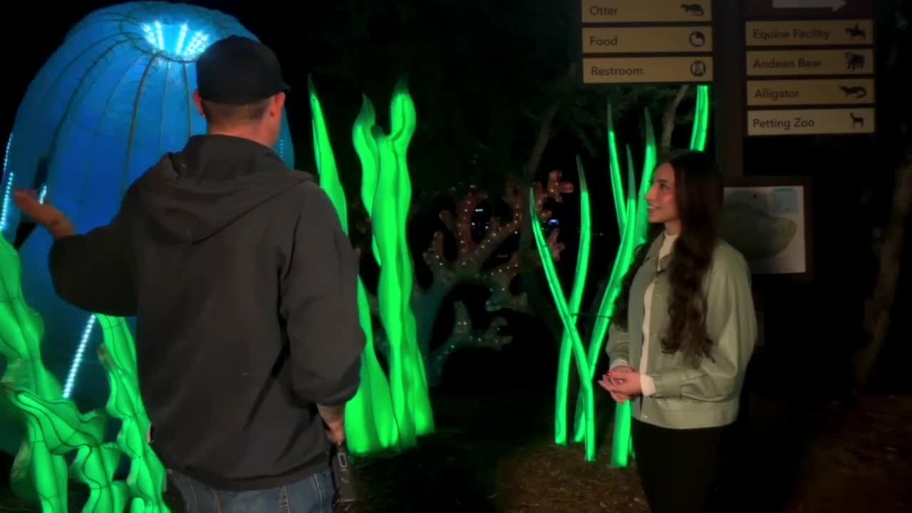 New experiences and illuminated lanterns arrive at ZooLights at the Phoenix Zoo