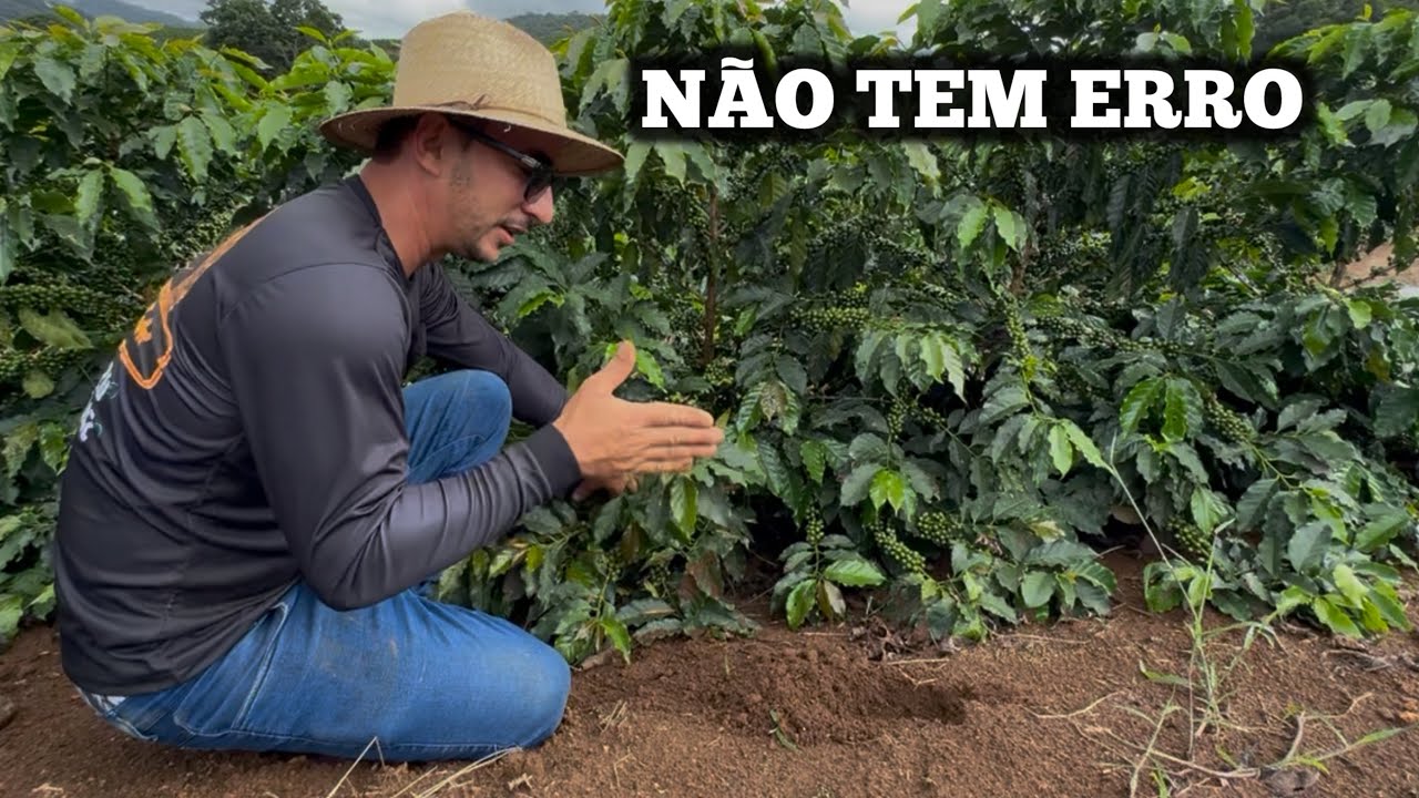 	Errou no Espaçamento? Sua Lavoura Pode Estar Perdendo Dinheiro