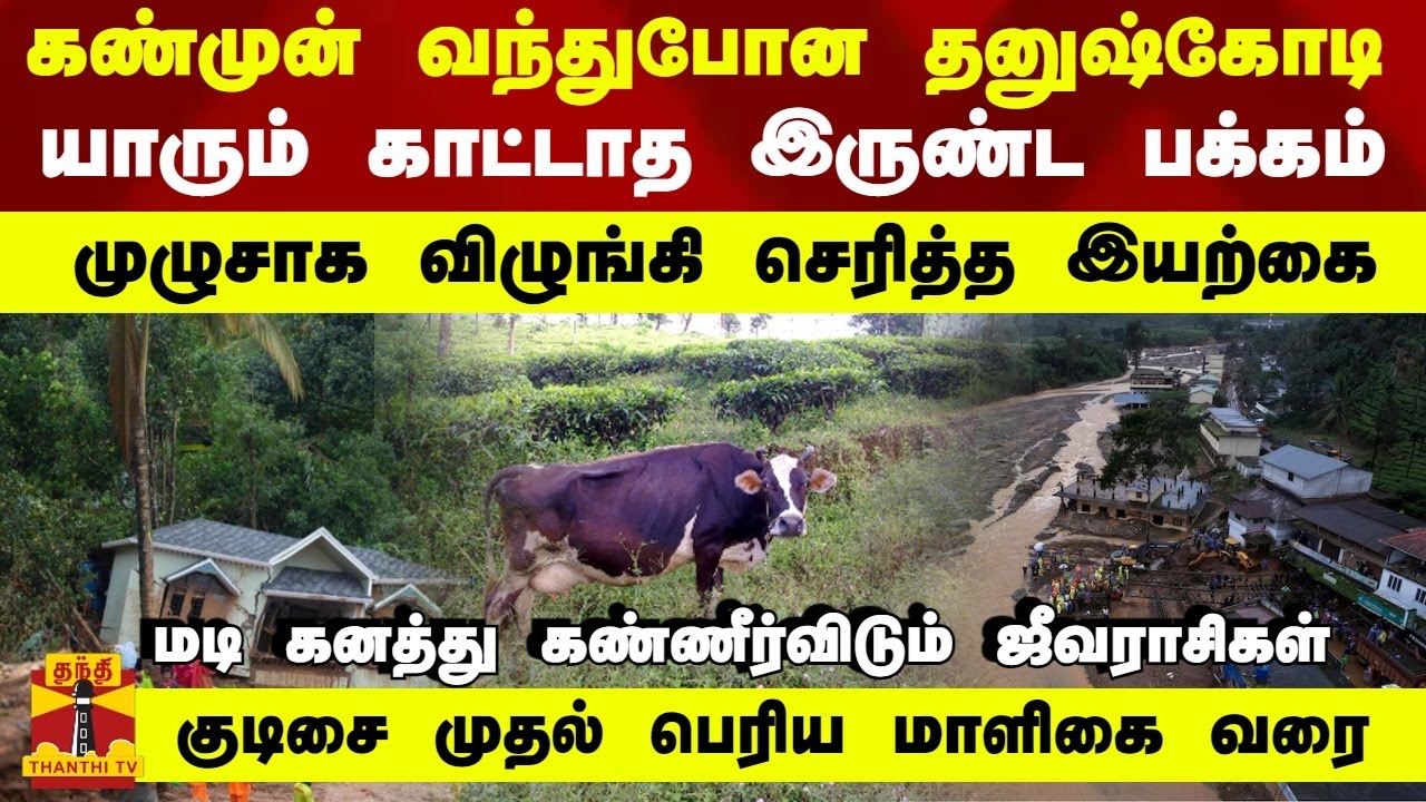 கண்முன் வந்துபோன தனுஷ்கோடி ... யாரும் காட்டாத இருண்ட பக்கம் - முழுசாக விழுங்கி செரித்த இயற்கை