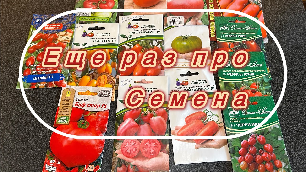 Посадили перец 🌶️и немного томатов 🍅🏡22.02.2026 