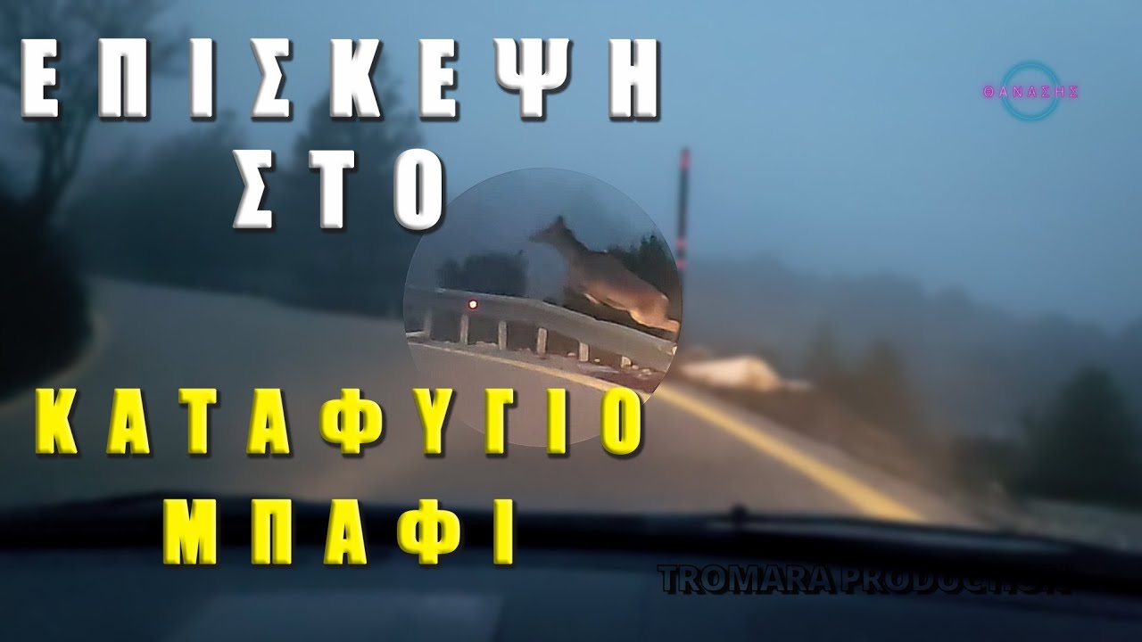ΚΑΤΑΦΥΓΙΟ ΜΠΑΦΙ #tromaraproduction