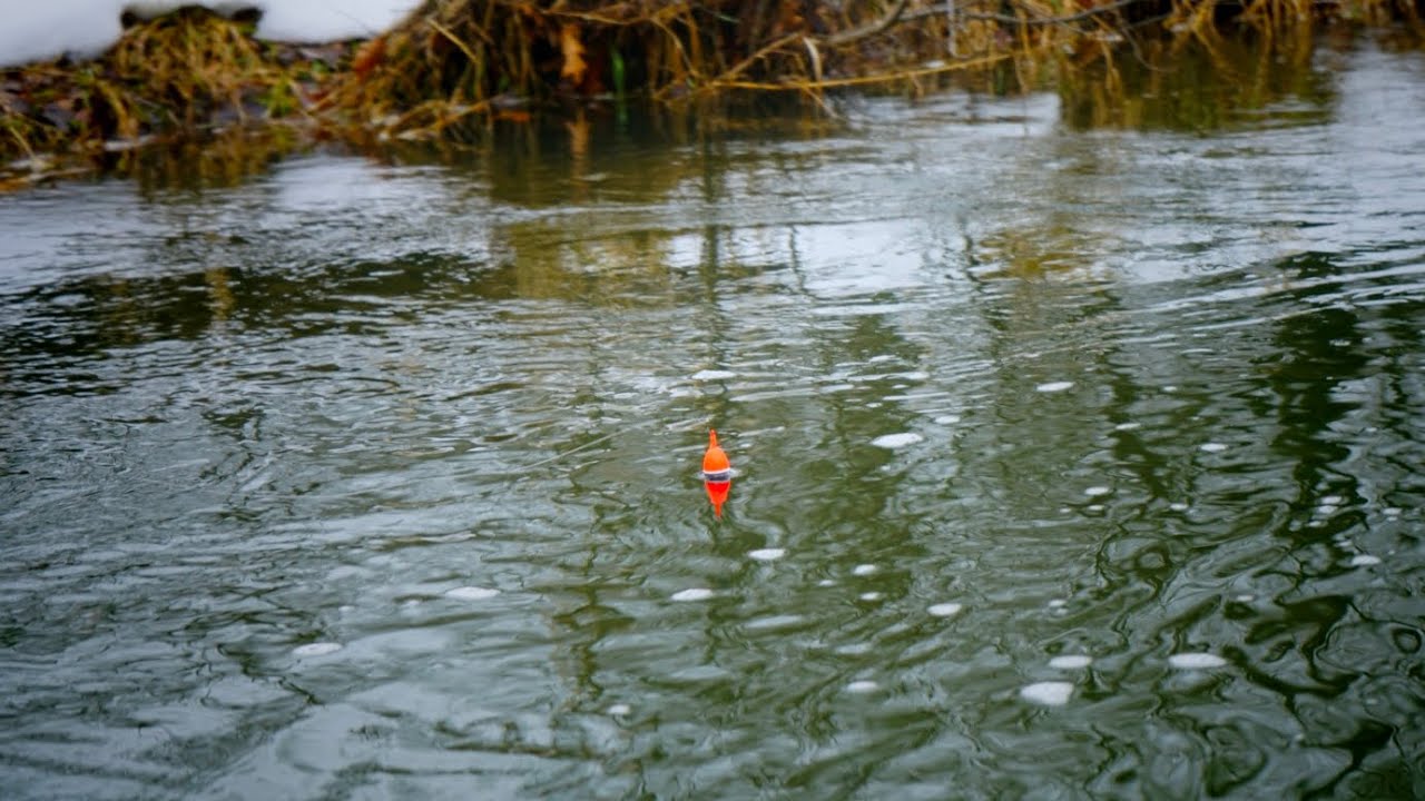 BOBBER DOWNS! Insane River Steelhead Float Fishing Beatdown!!