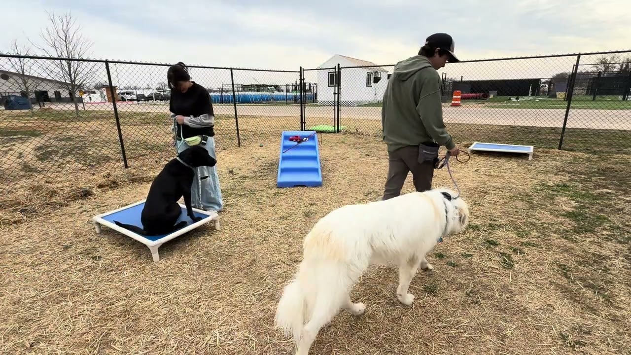 Winston and Gus 