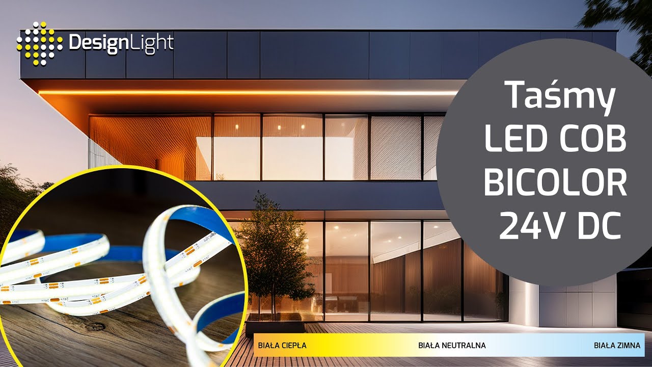 Taśmy LED COB Bicolor 24V DC - Design Light 