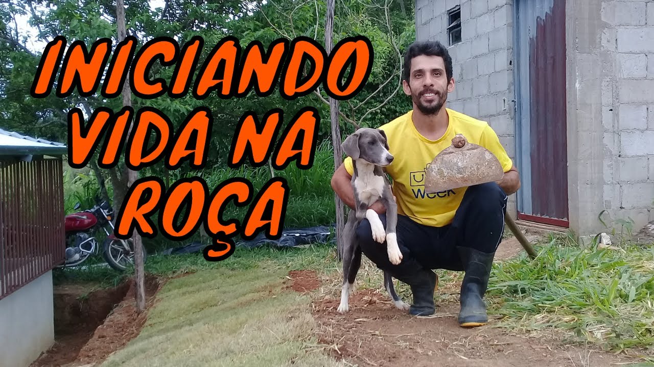 Trabalhos Ap&oacute;s Mudar para Ro&ccedil;a - Transi&ccedil;&atilde;o da cidade para o campo