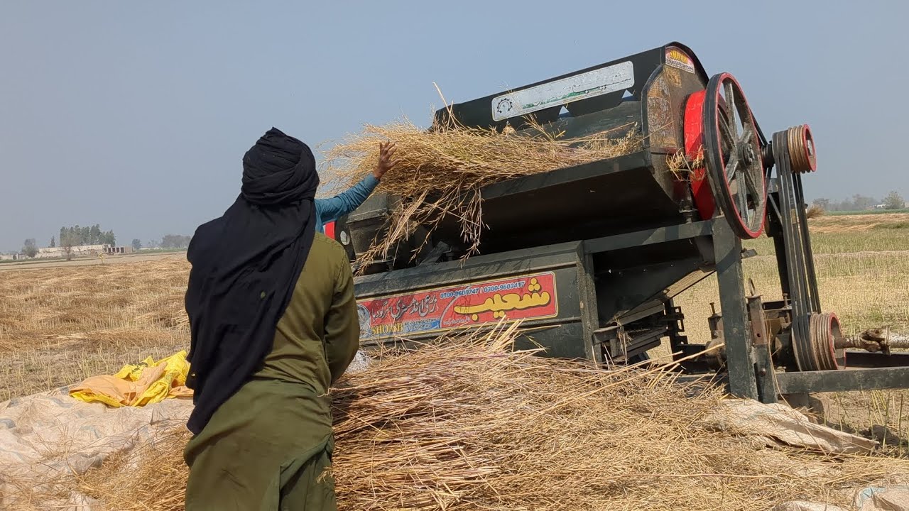 سرسوں کی برداشت کے لیے ٹریکٹر تھریشر مشین 