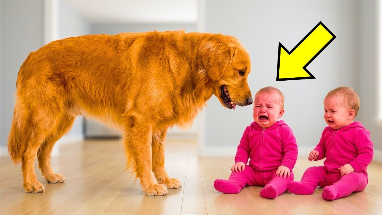Die Zwillinge Waren Identisch — Der Hund Wählte Eine Von Ihnen Und Rettete Ihr Das Leben!