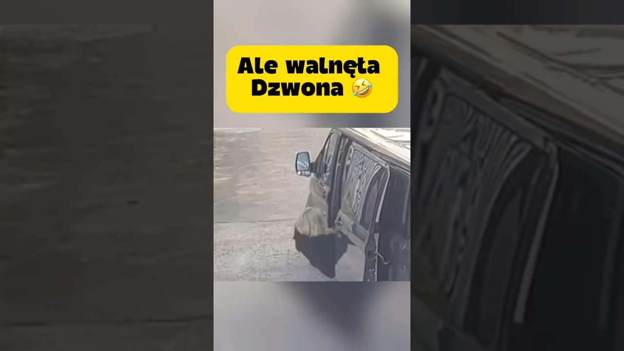 Ale walnęła dzwona 🤣#memes #funny #shorts