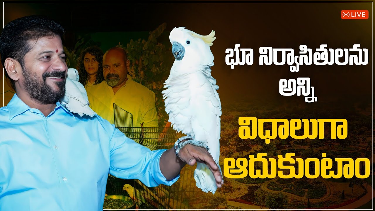 LIVE: కోత్వాల్‌గూడ ఎకో హిల్ పార్క్‌ను ప్రారంభిస్తున్న ముఖ్యమంత్రి రేవంత్ రెడ్డి గారు