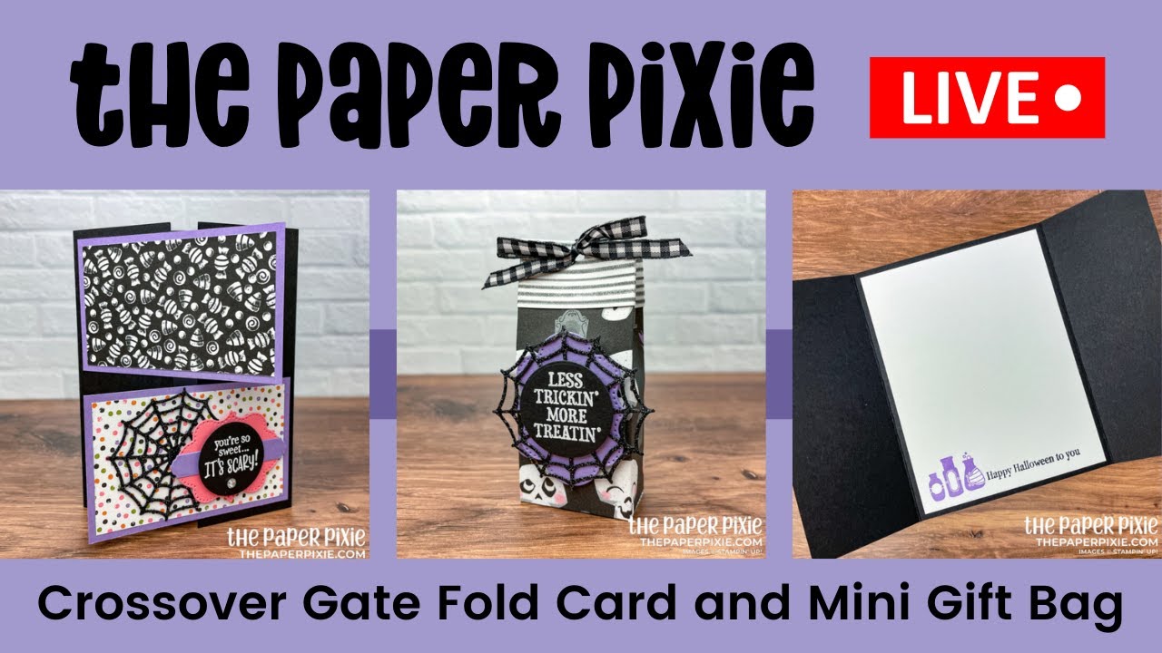 🔴 LIVE! with The Paper Pixie - Crossover Gate Fold Card and Mini Gift Bag - Episode 208