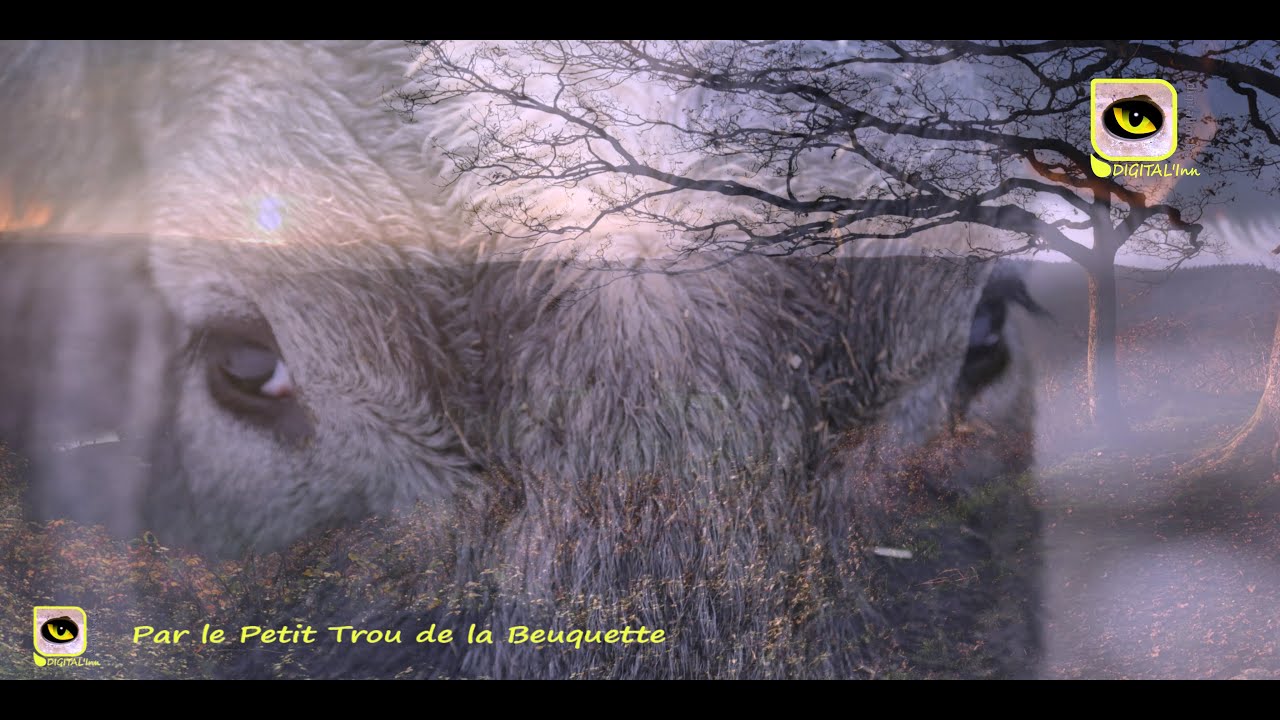 Au-del&agrave; du brouillard