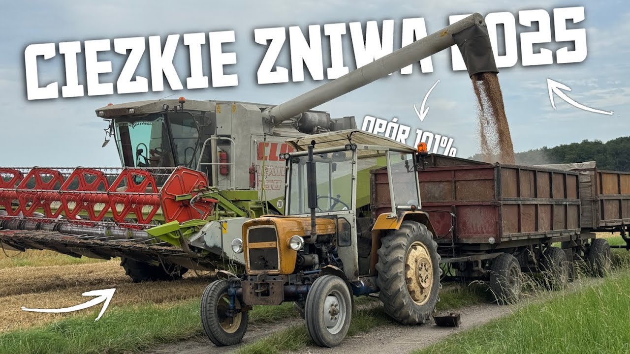 🇵🇱Docieranie Trzydziestki!?➜Czyli ciężkie Żniwa 2025?!☆Claas Lexion 580/450?!😍Opór 101%🔥Daniel12