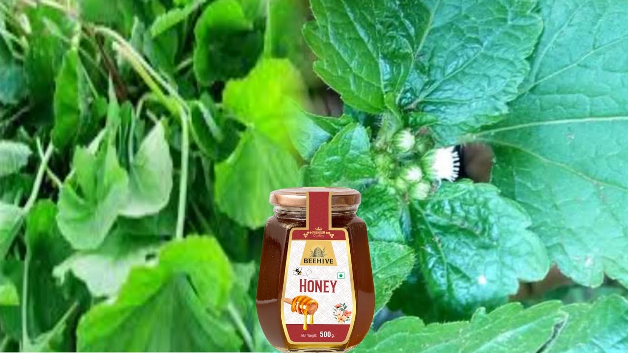 Okugeza Omusino edagala lilino @sengafaith2565