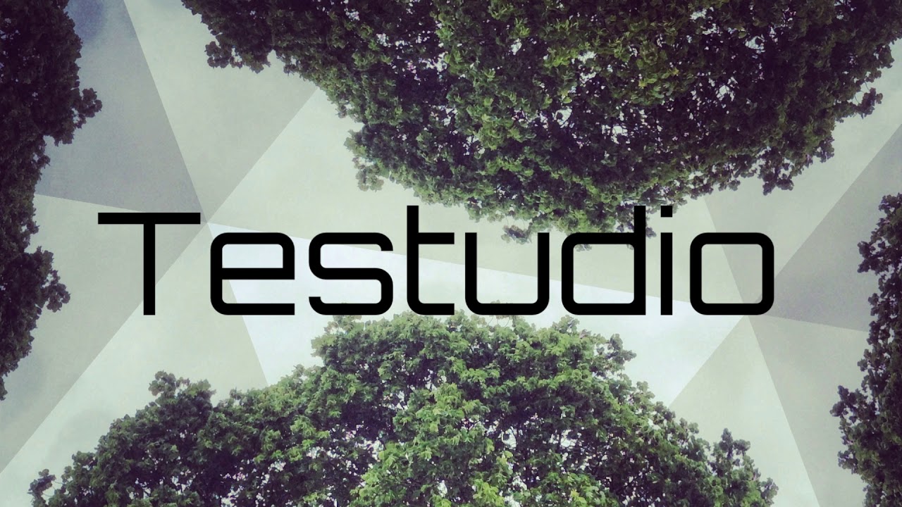 Testudio - Laniakea